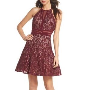 Sheer Inset Lace Fit & Flare Dress